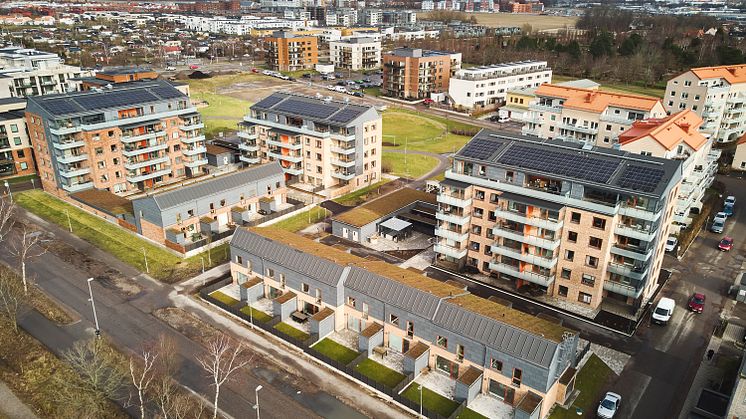 Pålsjö Äng i Helsingborg. Husen är byggda av NCC på uppdrag av Helsingborgshem. Foto: NCC/Studio-e.