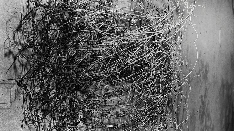 Roger Ballen: "Twirling Wires". Ed. 2/6. Betitlet, dateret og nummereret og signeret Roger Ballen verso (tjekkes). Sølvgelatine print. Indrammet. 80 x 80 cm. Hammerslag: 205.000 kr.