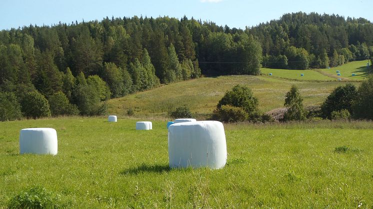 KSLA har valt in 25 nya ledamöter, varav 9 i Jordbruksavdelningen. Foto: Ylva Nordin.