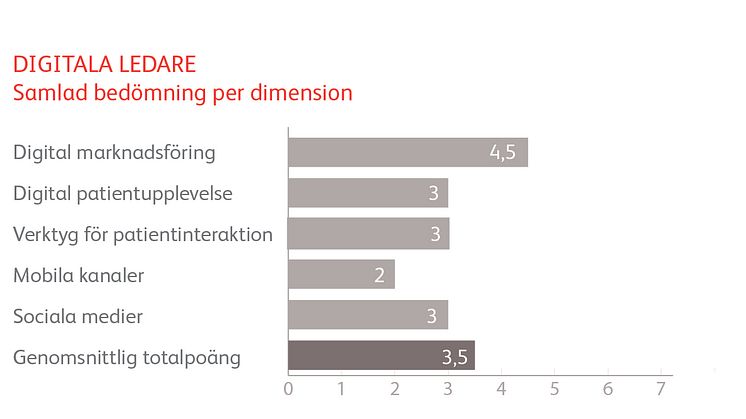 Digitala ledare - samlad bedömning per digital dimension