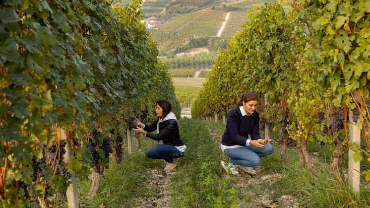 Rossana Gaja and Gaia Gaja