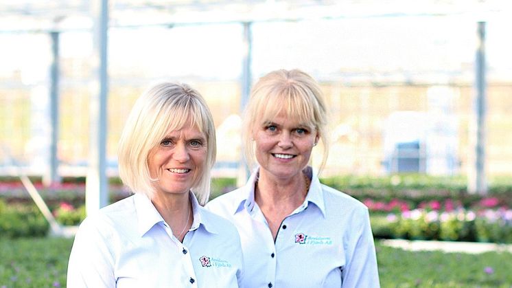 Systrarna Maria och Cecilia driver Arvidssons i Fjärås där de odlar bland annat azalea.