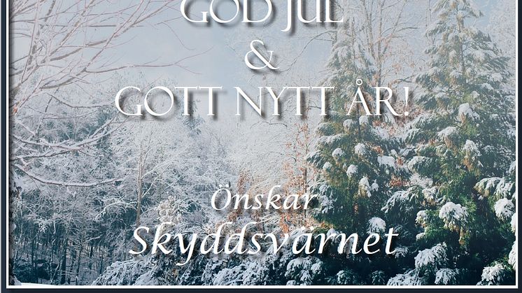 God Jul & Gott Nytt År!