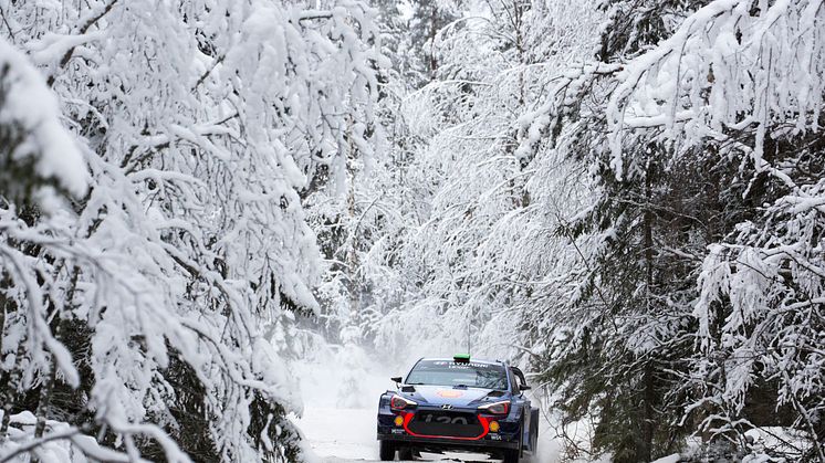 Hyundai Motorsport laddar för revansch i Rally Sweden.