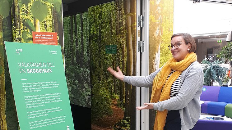 Skogspaus, en virtuell skog för avkoppling