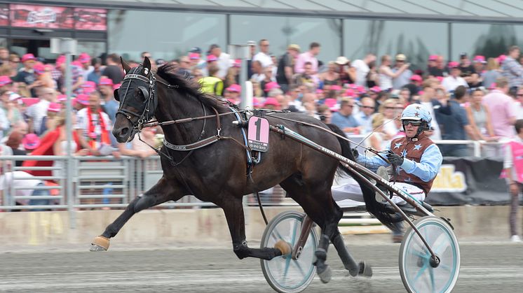 Up and Quick. Foto: Lars Jakobsson, Kanal 75