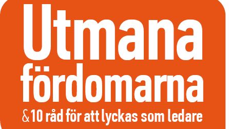 Scouterna lyfter mångfaldsfrågan i Almedalen