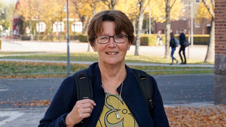 Kerstin Blomqvist - professor