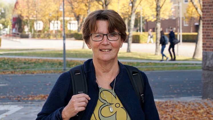 Här på högskolan är vi förbaskat duktiga på utbildning. Den forskning vi gör, den gör vi dessutom väldigt bra, menar Kerstin Blomqvist, professor i omvårdnad.