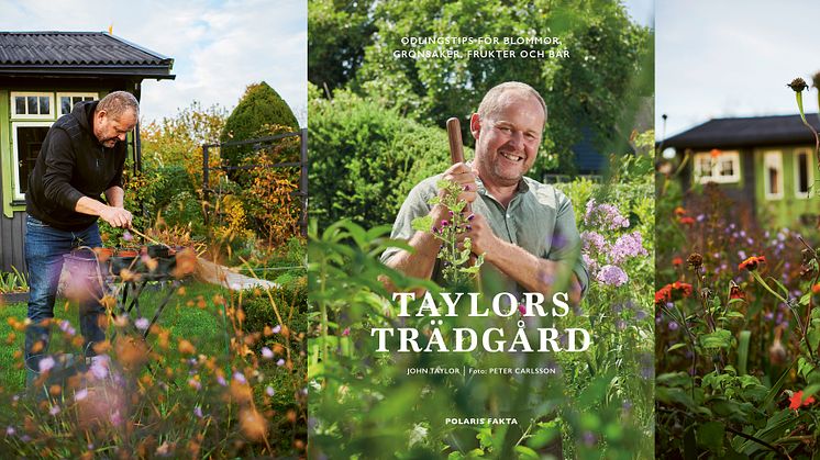 Trädgårdsprofilen John Taylor är aktuell med en ny bok. 