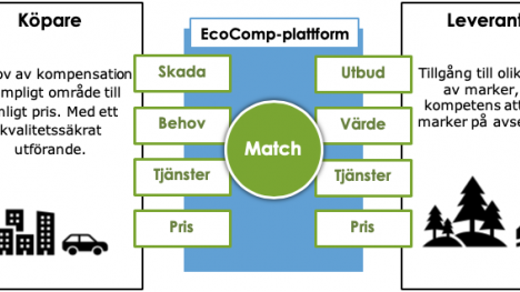 Projekt EcoComp