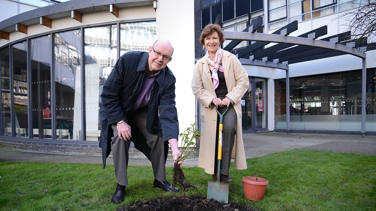 Modern slavery rose planting contributes to fight against UK slavery