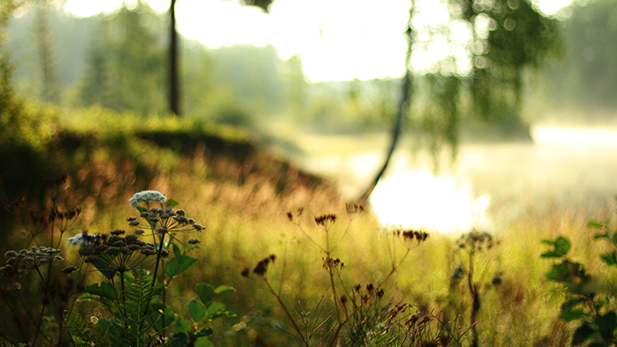 Värmlands Miljö- och klimatdag