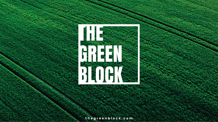 Crypto Oasis Ventures und Roland Berger starten "The Green Block" – einen Thinktank und Launchpad für Web3- und KI-Technologien mit nachhaltigem Anspruch