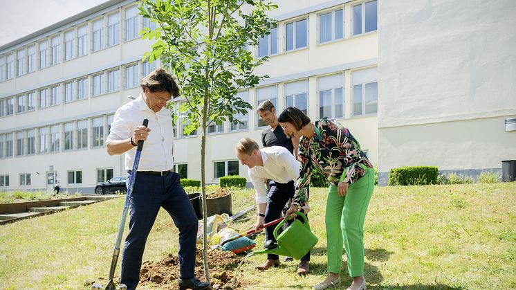CEO Klaus Rosenfeld (left), CHRO Corinna Schittenhelm (right), and COO Andreas Schick, (center), symbolically opened the Schaeffler Group's global Climate Action Day by planting a tree on the grounds of Schaeffler's headquarters in Herzogenaurach.