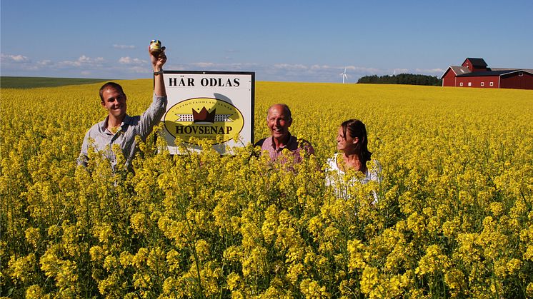 Hovsenap är ett familjeföretag som tillverkat delikatessenap sedan 1994 och som idag drivs av Gustav Stigson och hustrun Petra. Senapen märks med Från Sverige och det har den gjort sedan Från Sverige-märkningen lanserades 2016. 