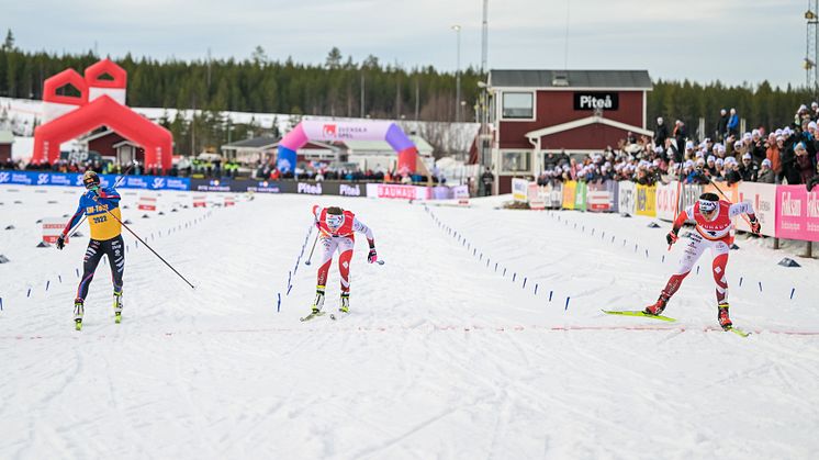 Nu presenteras vilka klubbar och föreningar som kommer stå som arrangörer för SM-tävlingarna i längdskidor 2024. Foto: Bildbyrån