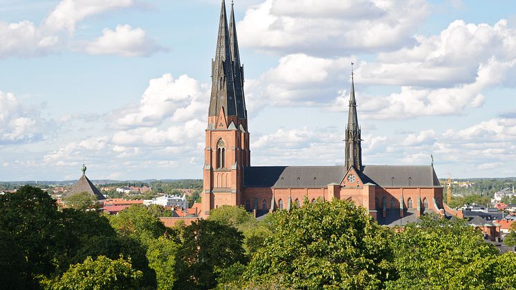 Berotec etablerar konsultverksamhet i Uppsala-regionen