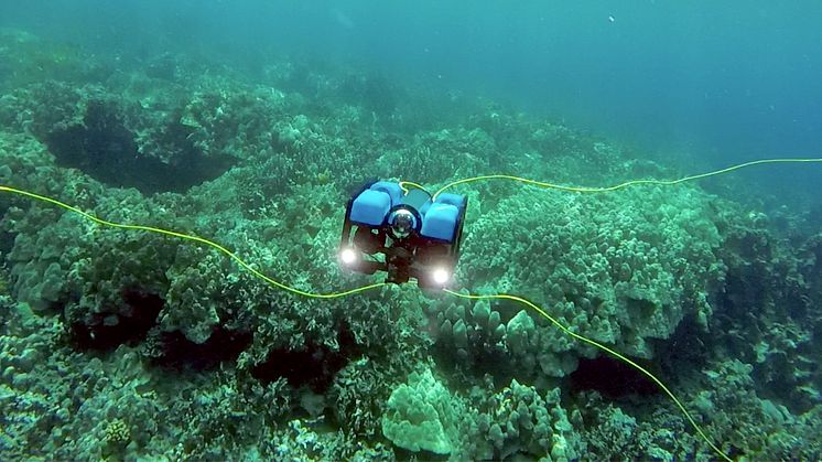 Web image - OINA 2017 - Blue Robotics will showcase its high performance, affordable underwater drone, the BlueROV2 at OINA 2017