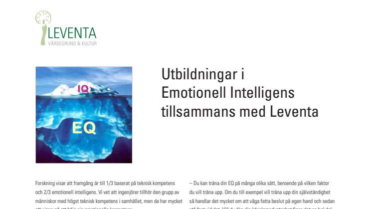Artikel om utbildningar i Emotionell Intelligens för ingenjörer och tekniker med Sällma och Leventa