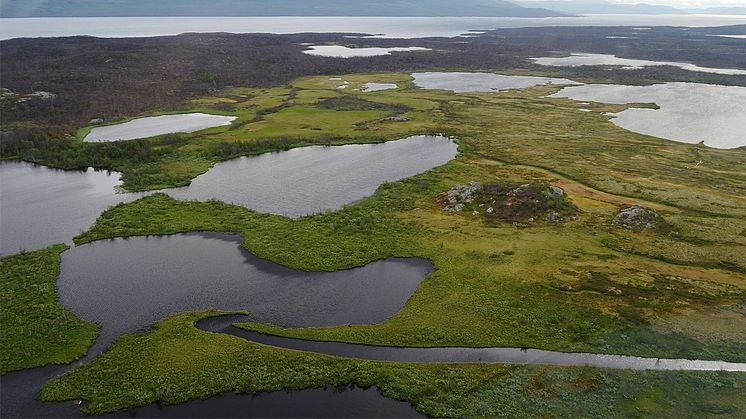 Stora och ökande metanutsläpp från sjöar