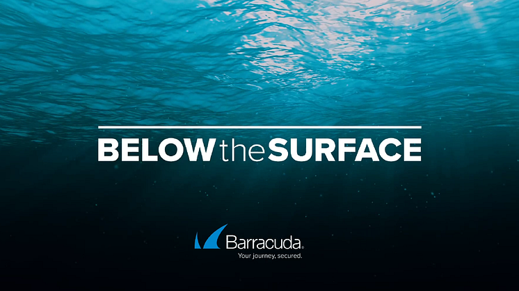 Barracuda, Below the Surface Log4j.png