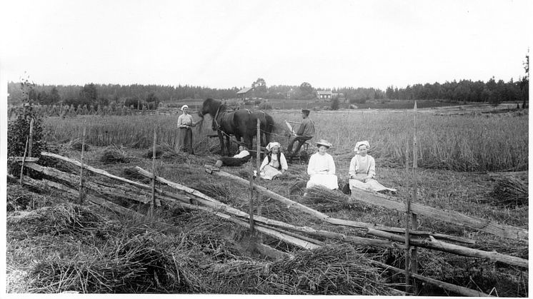 Kokkonst Vingåker