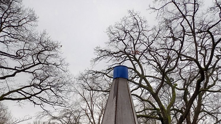 Skyddshölje runt fontänen i Stadsträdgården