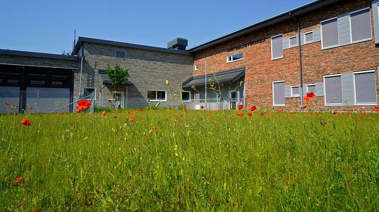 Invigning av Hjärtebacke förskola