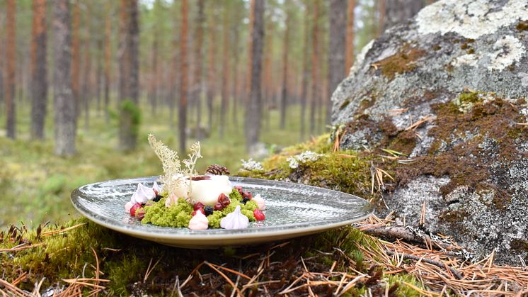 Kulinariska mentorer ska spetsa måltidsföretag längs Vindelälven