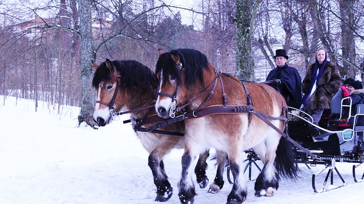 Vinterfest i Edsbergsparken, Sollentuna kommun