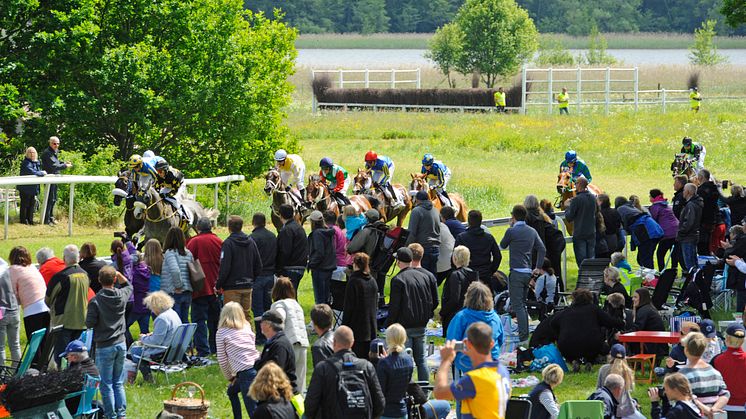 Kapplöpningarna på Strömsholm är ett av Svensk Galopps mest populära evenemang och lockar alltid en stor publik. 2022 blir tävlingarna särskilt speciella då H.M. Konungen besöker Strömsholm.