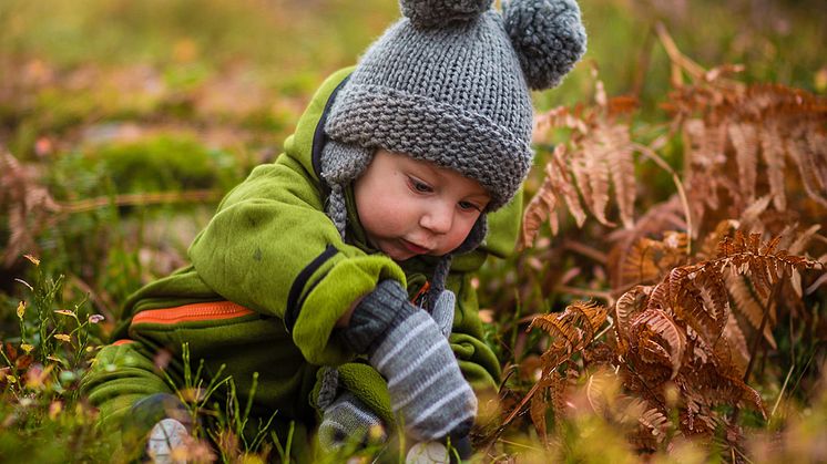 Vad kan man som privatperson göra för att minska sin klimatpåverkan? Kävlinge kommun har skapat en sida med hållbarhetstips.