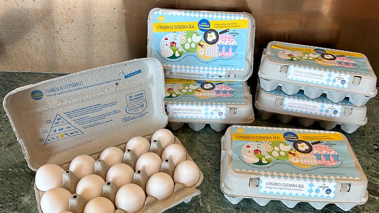 Lantäggs familjekartong med Från Sverige-design finns i butik vecka 34-44 2023. Det är ett samarbete mellan DAVA Foods och Från Sverige för att lyfta de svenska äggen extra under Från Sverige-veckorna vecka 38 och 39.