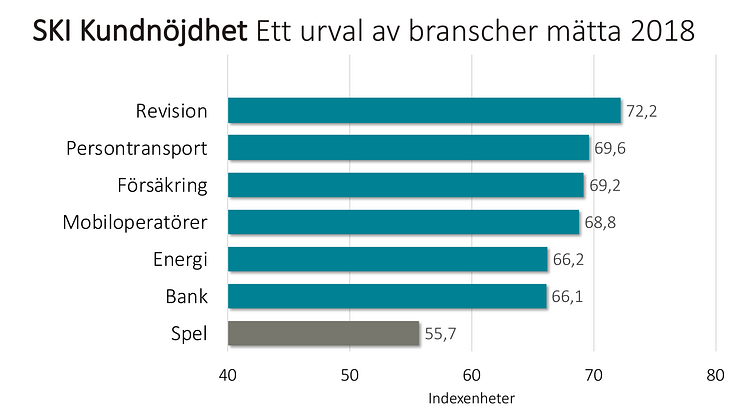 SKI ett urval branscher 2018