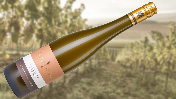  Riesling Aus Erste Lage från kvalitetsproducent i Rheinhessen 