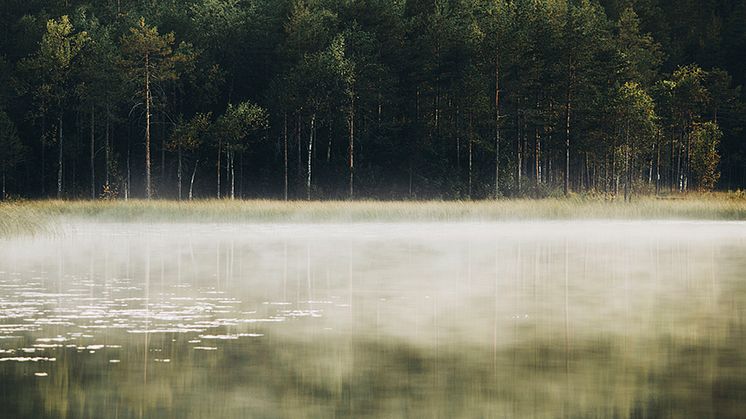 Miljöbedömningsmodell för läkemedel kan styra mot grönare alternativ