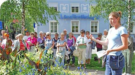 Årets blomsterplanteringar är en hyllning till det norrländska landskapet