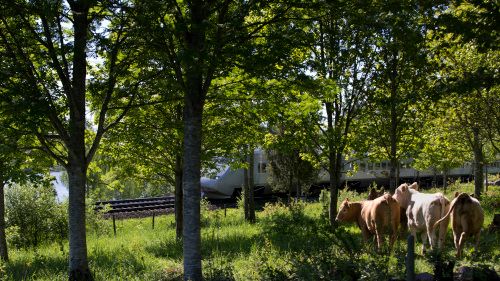 Planerat biljettsläpp för sommaren skjuts upp