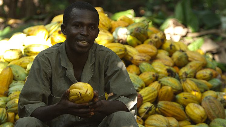 Mondelēz International presenta el informe de  progreso de su programa de sostenibilidad ‘Cocoa Life’