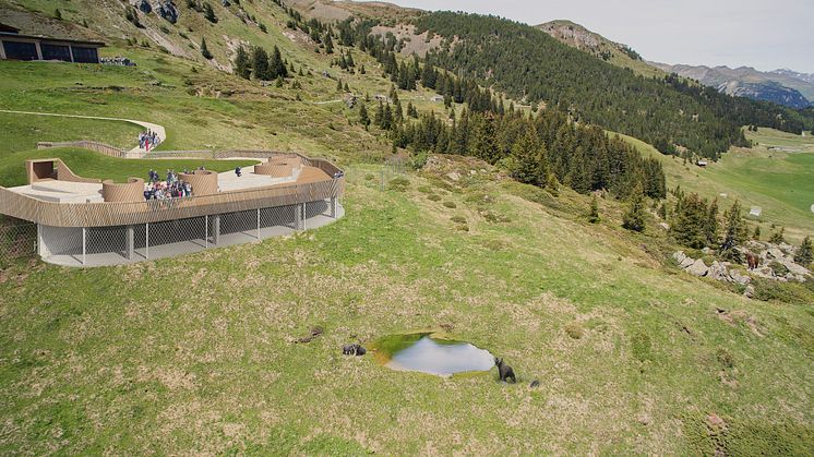 Neues Bärenland in Arosa (Graubünden)