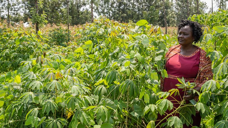 Beatrice_Wamalwa-2-Vi_Agroforestry_Photo_by_Onyango_Ayany.jpg