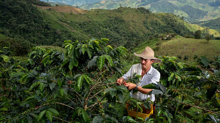 NYHET: Nespresso presenterar Reviving Origins - kaffenyheter som både smakar och gör gott