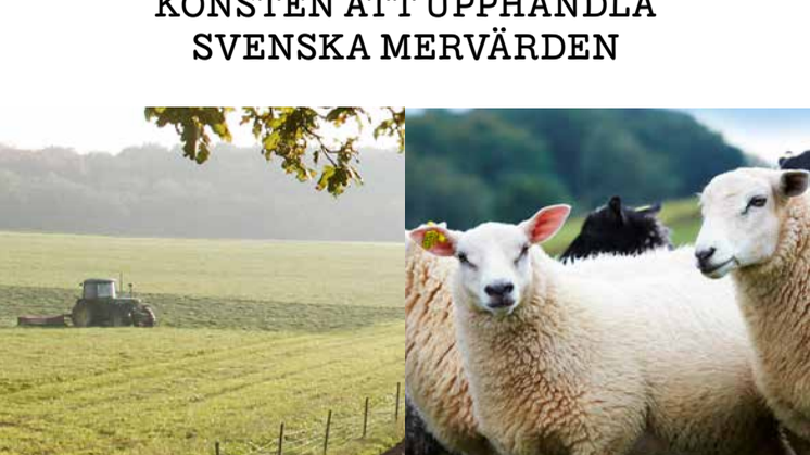 Konsten att upphandla svenska mervärden. Från Sverige 2021 08