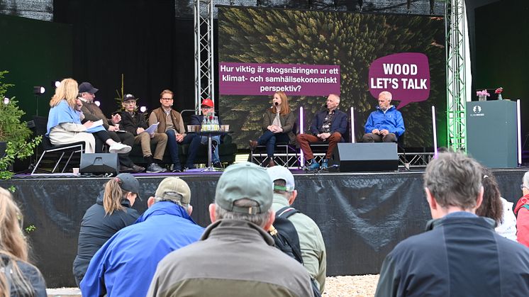 Caption: Ellinor Persson moderated Friday’s politicians’ debate, which was attended by Johan Widegren (Moderate Party), Annie Lööf (Centre Party), Mats Nordberg (Sweden Democrats Party), Jakob Olofsgård (Liberal People’s Party), Isak From (Social Dem