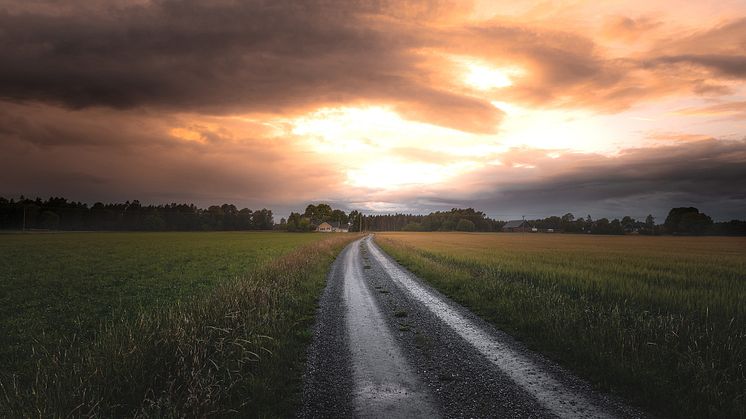 2019-11-15 Landskapsforum 2019: Landskap – ett vidsträckt begrepp (foto: Henrik Berg/Unsplash)