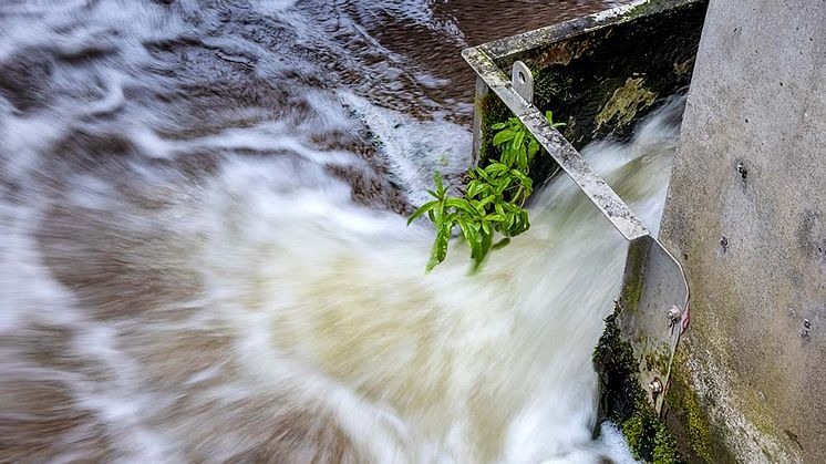 På grund av stora regnmängder i samband med stormen Hans har Gryaab fått pumpa ovanligt stora mängder vatten under flera dygn. Men nu börjar vattenmängderna minska igen.