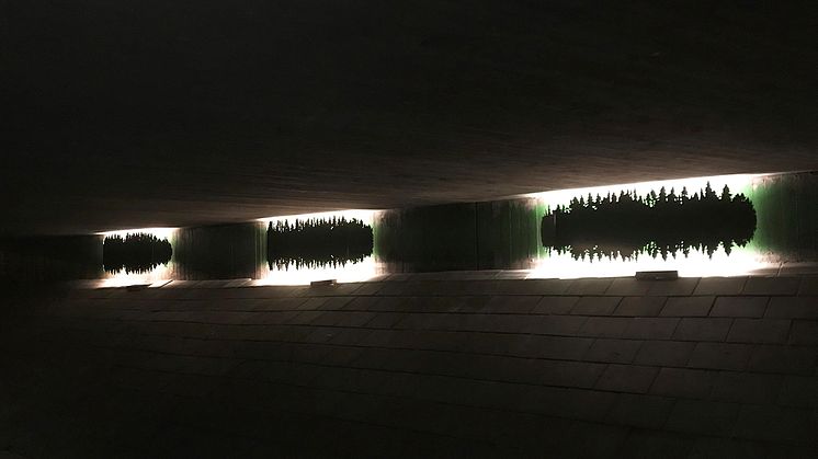Konstnären Pia Männikkö har skapat konstverket ”Forest Sounds” i gångtunneln vid Fjäderharvsgatan i Angered. Foto: White arkitekter