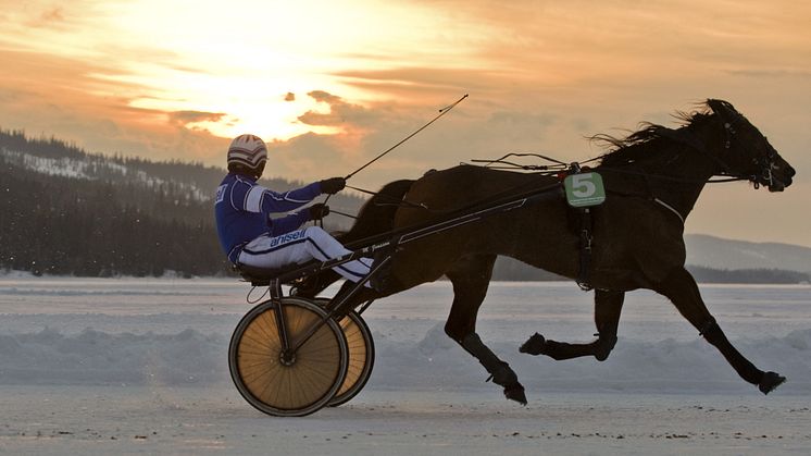 V75-stjärnor på Åres is