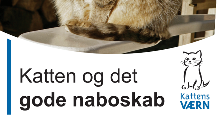 Katten og det gode naboskab